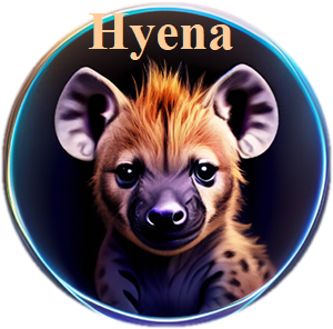 Hyena Kets Akademy