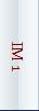 IM 1