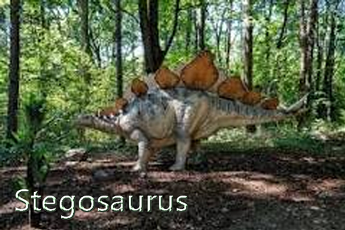 steg15