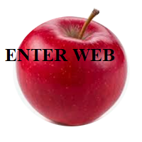 ENTER WEB